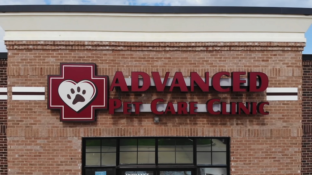 Advanced