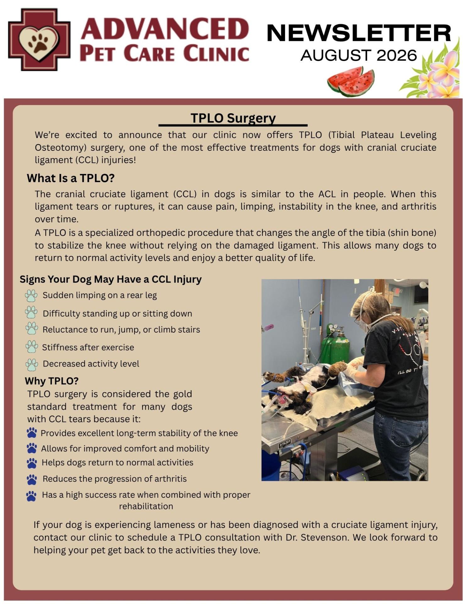 August 2026 Newsletter Page 1 