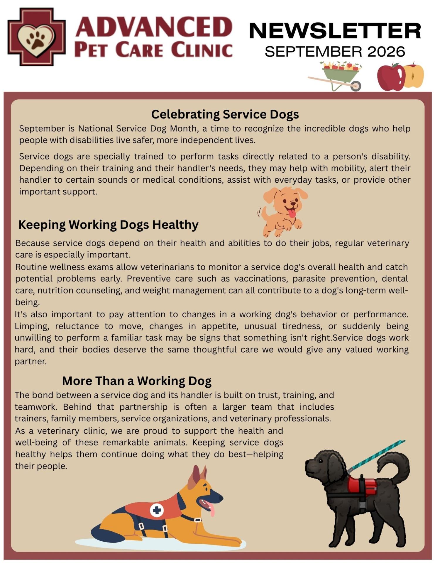 Sept  2026 Newsletter p3