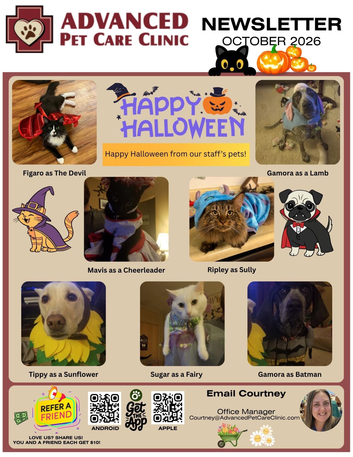 Oct 2026 page 4