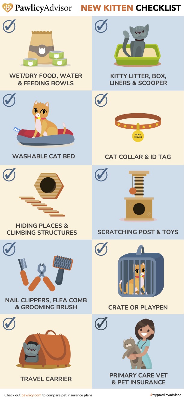 New Kitten Checklist 