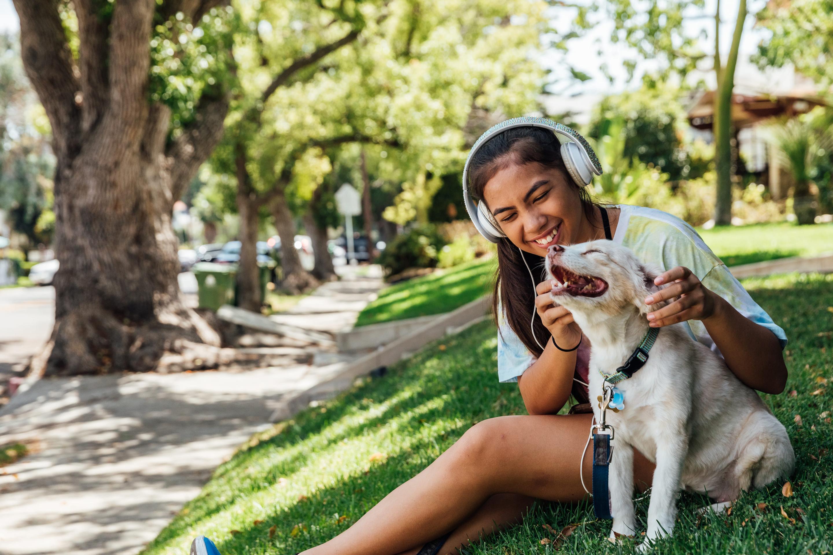 Summer Pet Safety Tips, A person and their dog