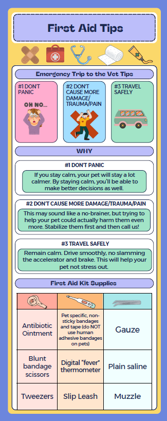firstaid
