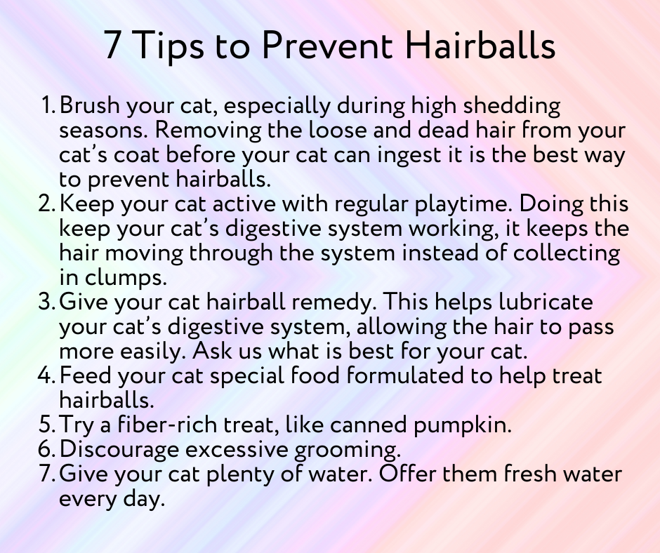 hairball