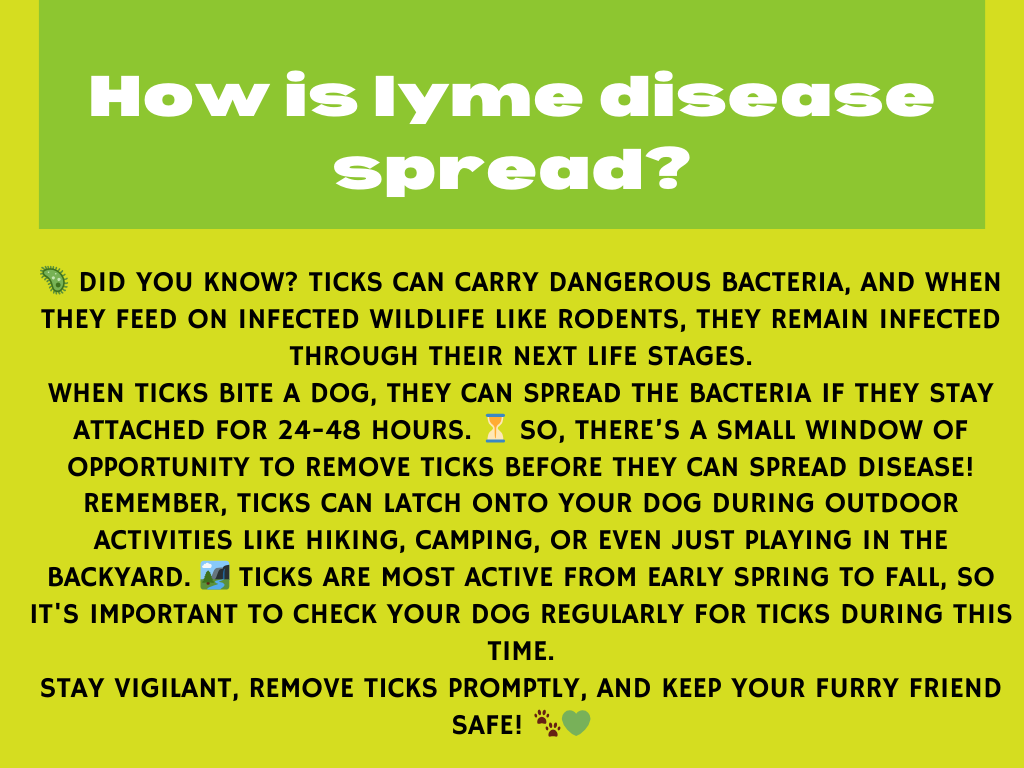 lyme