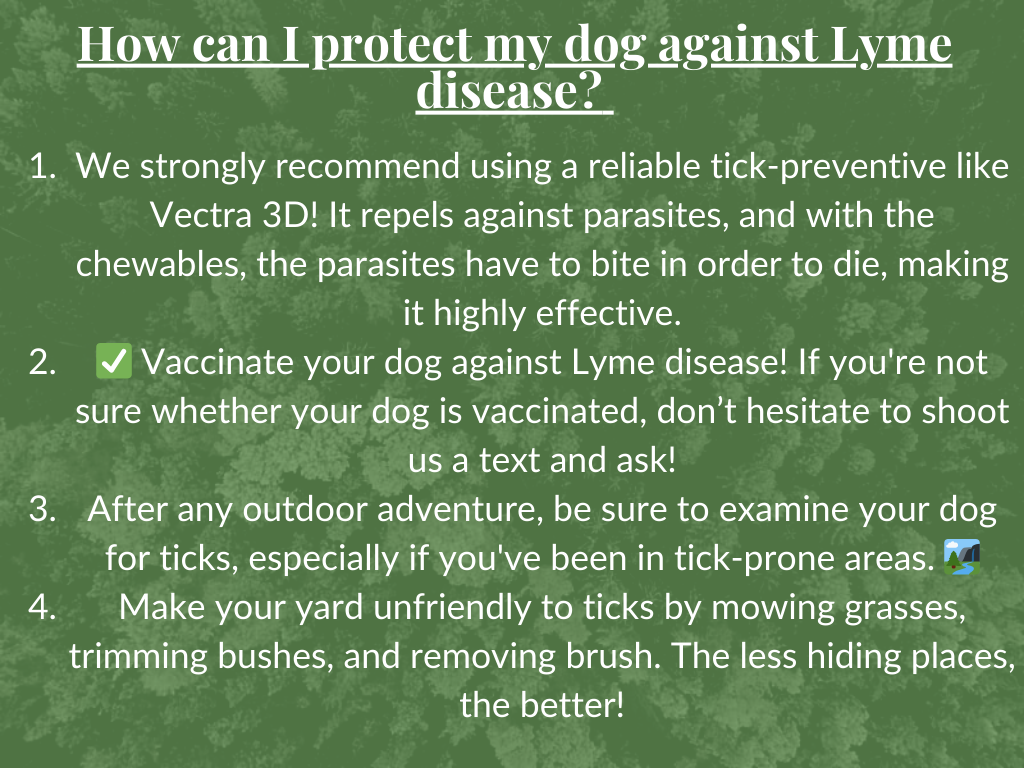 lyme