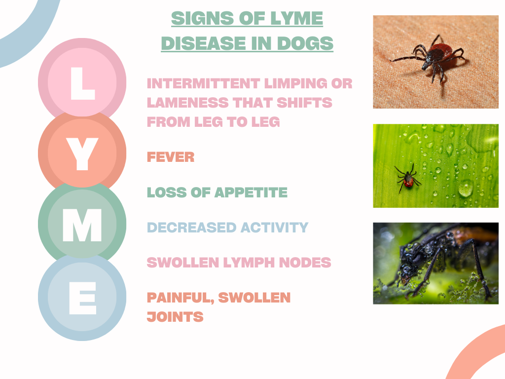 lyme