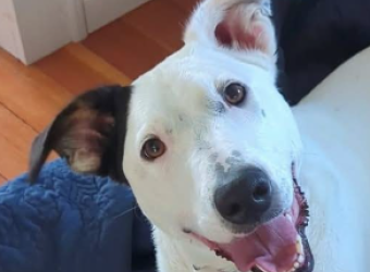 February Rescue Work