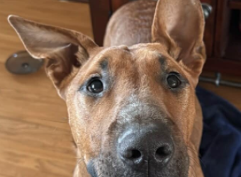 March Rescue Work