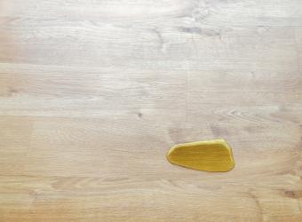 Cat or Dog Peeing More Than Usual? What It Could Mean