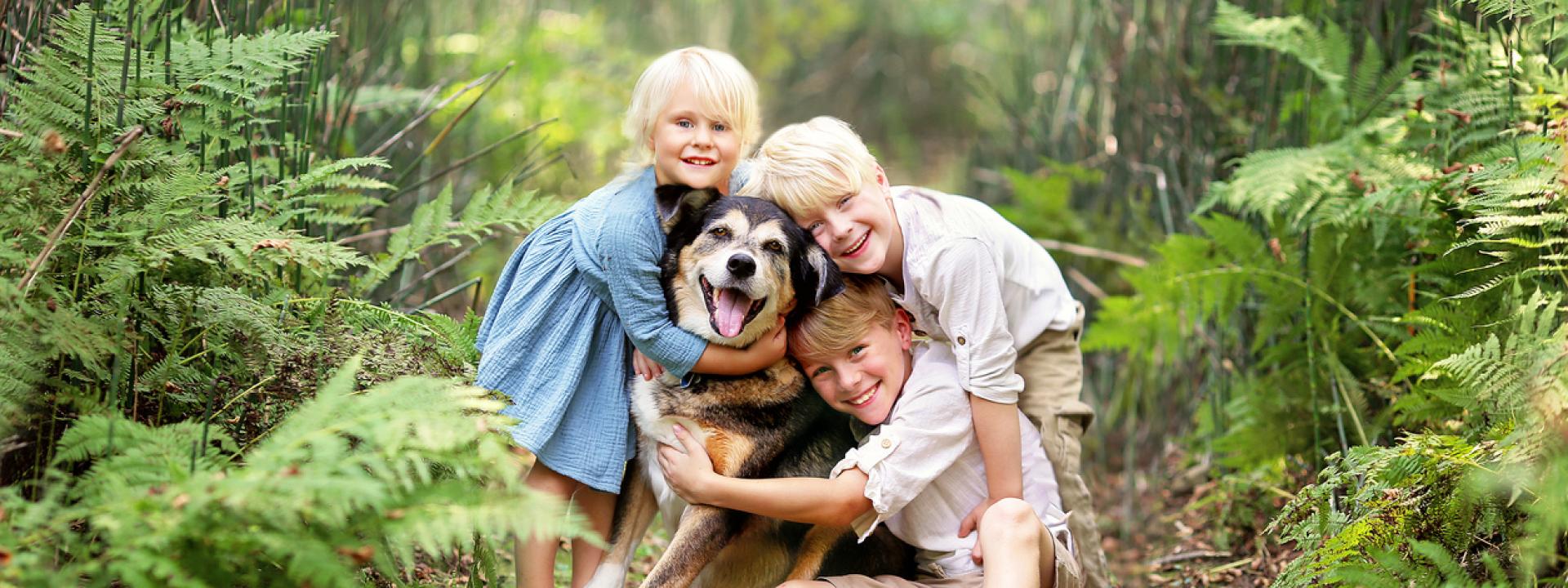 A group of children hugging a dog in the woods, Caring for Your Senior Pet in Their Golden Paws Years