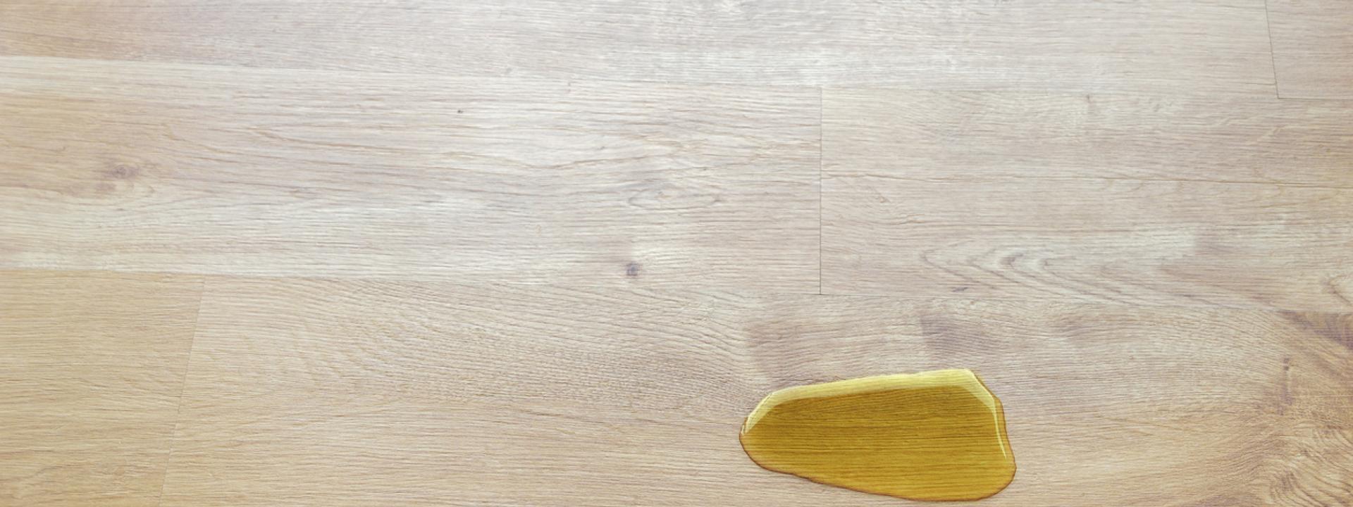 Cat or Dog Peeing More Than Usual? What It Could Mean, A urine puddle on the floor